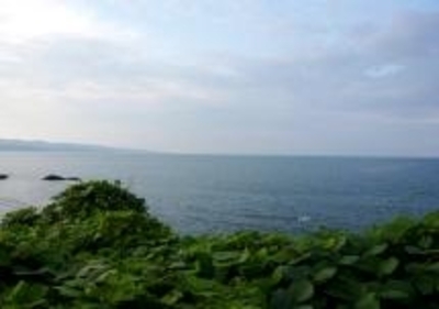 周辺観光スポット  ルートイン グランティア氷見 和蔵の宿（富山県 